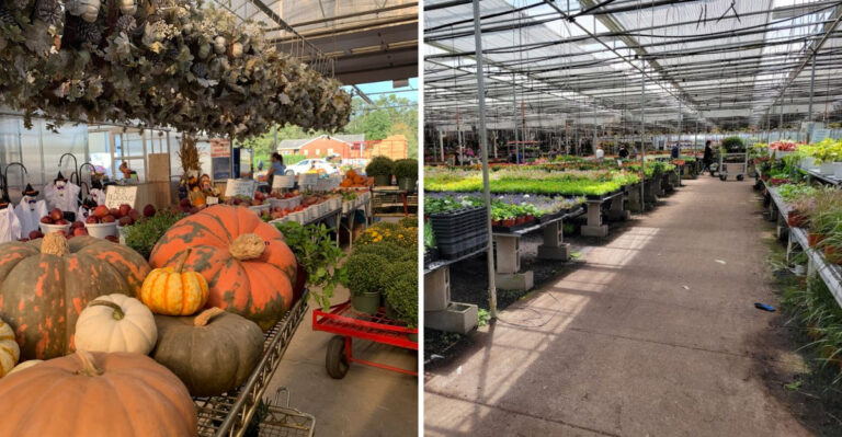 The Huge New Jersey Greenhouse Where Cash Rules And Prices Feel Stuck In The 90s