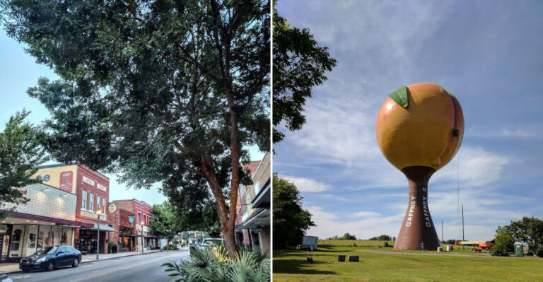 These 10 South Carolina Towns Make Living On Social Security Feel Possible