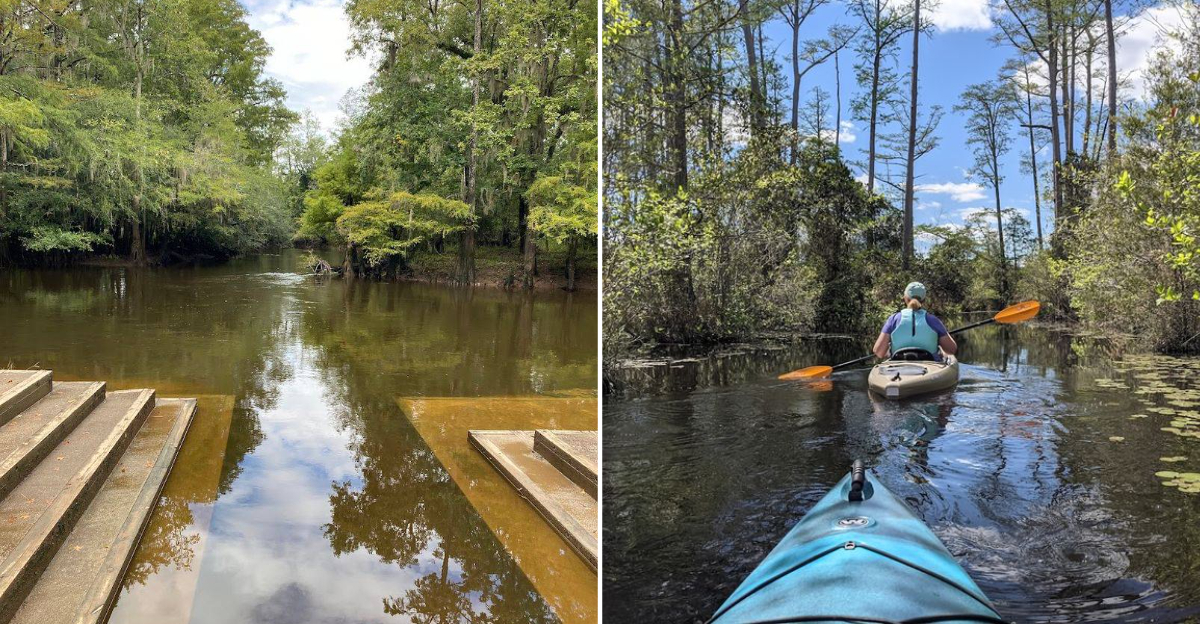 These 8 South Carolina Day Trips Feel Expensive But Cost Under $60