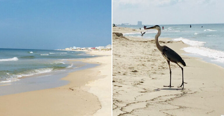 This Alabama Beach Delivers Caribbean Charm In A Much Quieter Setting