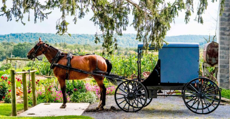 This Amish Town In Pennsylvania Lets You Step Back Centuries