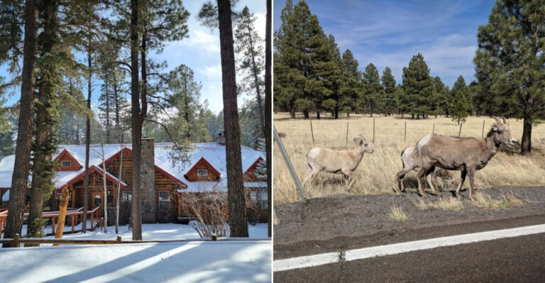 This Arizona Mountain Town Is So Overlooked, Even Locals Miss It