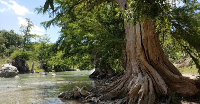 This Beautiful Texas River Park Costs Less Than Lunch And Feels Like A Find