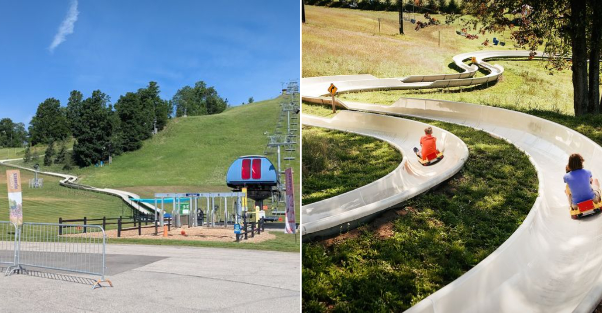 This Exhilarating Mountain Coaster In Michigan Promises Pure Adrenaline