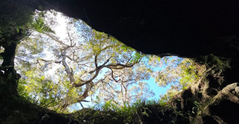 This Florida Trail Combines A Thrilling Hike, Cave Exploration, And Views Worth The Climb