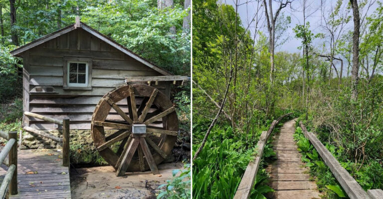 This Magical Botanical Garden In Michigan Feels Like A Hidden Retreat