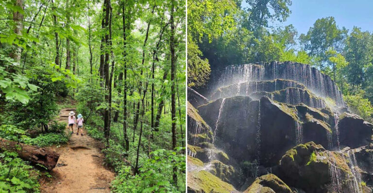 This Scenic 1.5 Mile Hike In South Carolina Feels So Beautiful You Will Think About It For Days