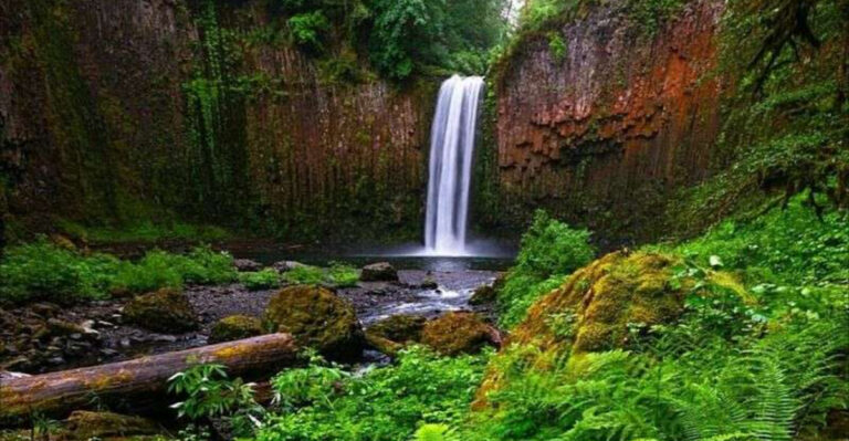 This Secret Oregon Waterfall Is A Local Treasure You Can’t Miss