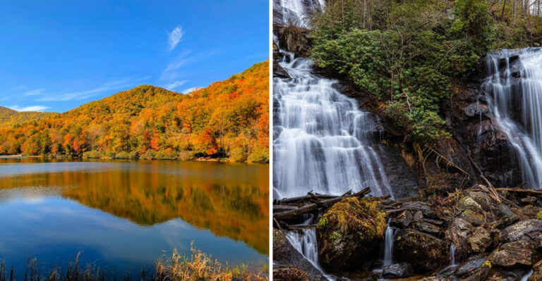 Why This 41-Mile Georgia Drive Deserves A Spot On Your Bucket List