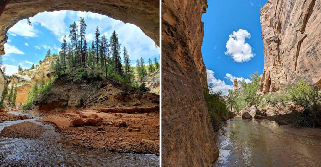 10 Utah Hiking Trails So Forgotten That Most Tourists Have No Idea They Exist