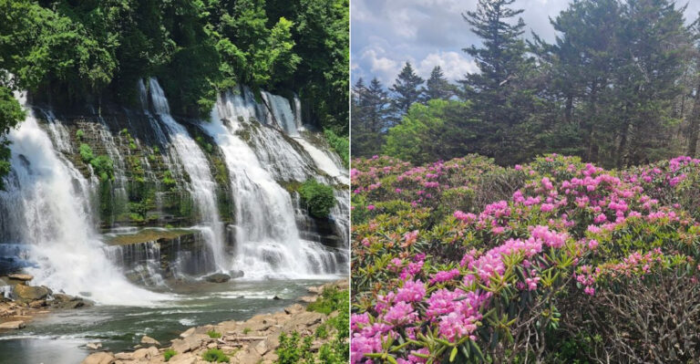 8 Gorgeous Tennessee State Parks That Feel Like National Parks Minus The Crowds