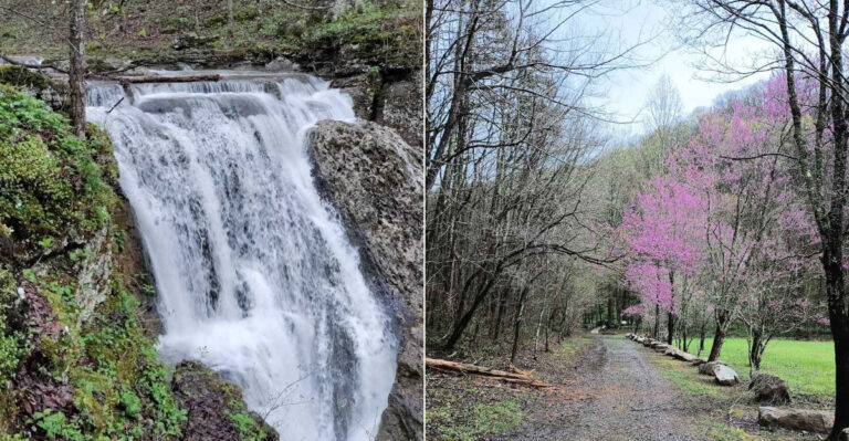 A Short Georgia Hike Leads To A Waterfall That Feels Hidden From The World