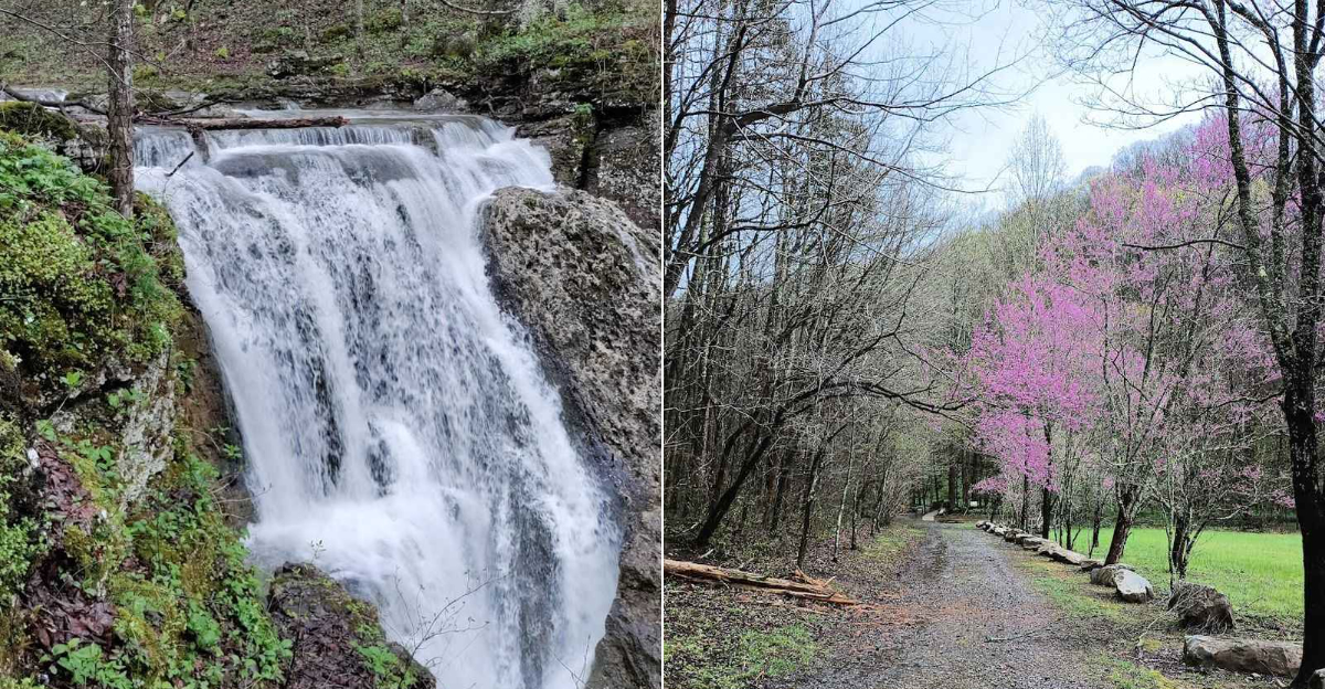 A Short Georgia Hike Leads To A Waterfall That Feels Hidden From The World