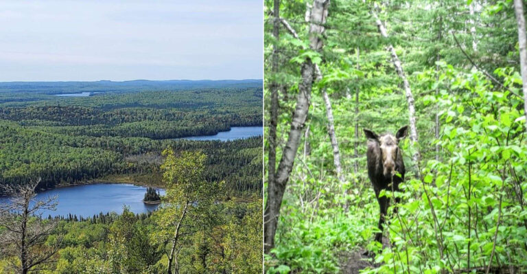 Boardwalks, Wildlife, And Big Views Make This Minnesota Trail An Unforgettable Hike