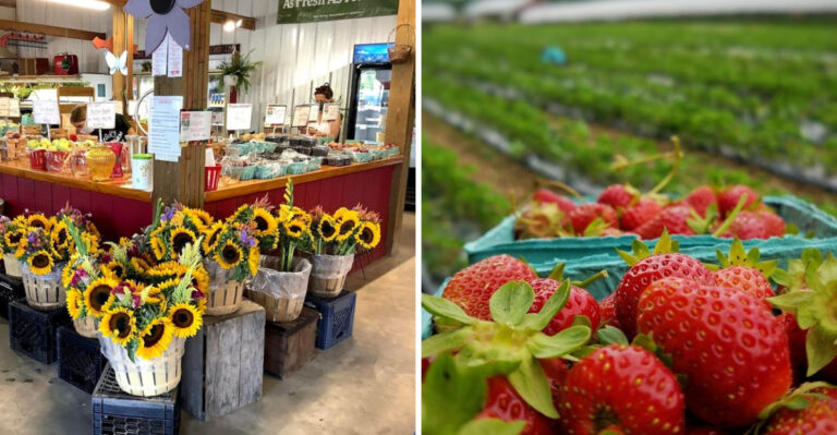 Experience New Jersey’s Rich History At This Farm That’s Survived 10 Generations