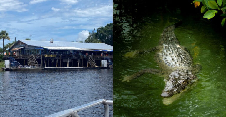 Feast At This Florida Restaurant With One Of The State’s Most Unique And Wacky Menus