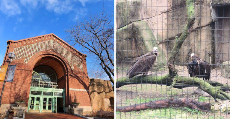 Illinois Is Home To One Of The Largest Free Zoos In America, And It’s Truly Special