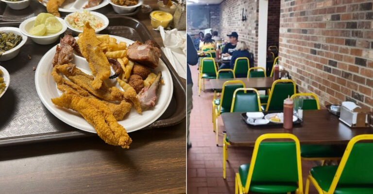 Most People Drive Right Past The Best Catfish In Mississippi Without Knowing It