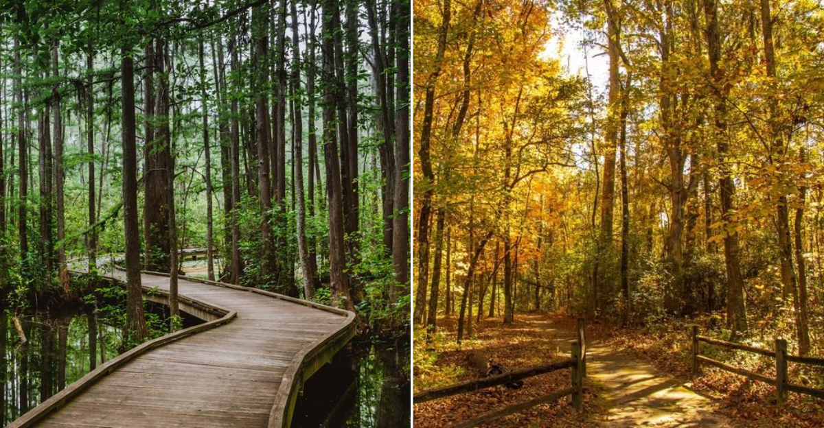One Of South Carolina’s Most Overlooked State Parks Feels Wonderfully Uncrowded