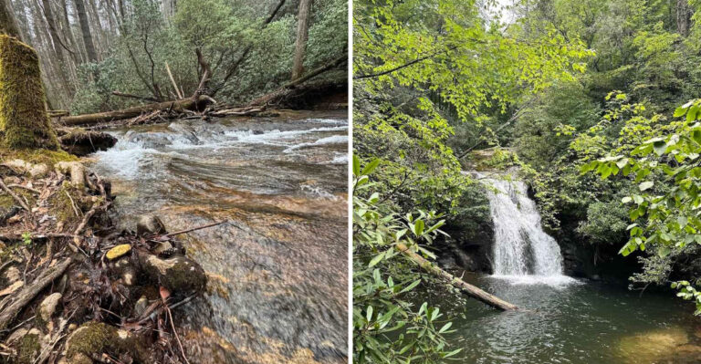 Take This Beautiful Georgia Trail To Reach A Stunning Hidden Swimming Hole