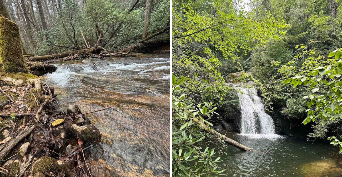 Take This Beautiful Georgia Trail To Reach A Stunning Hidden Swimming Take This Beautiful Georgia Trail To Reach A Stunning Hidden Swimming Hole 