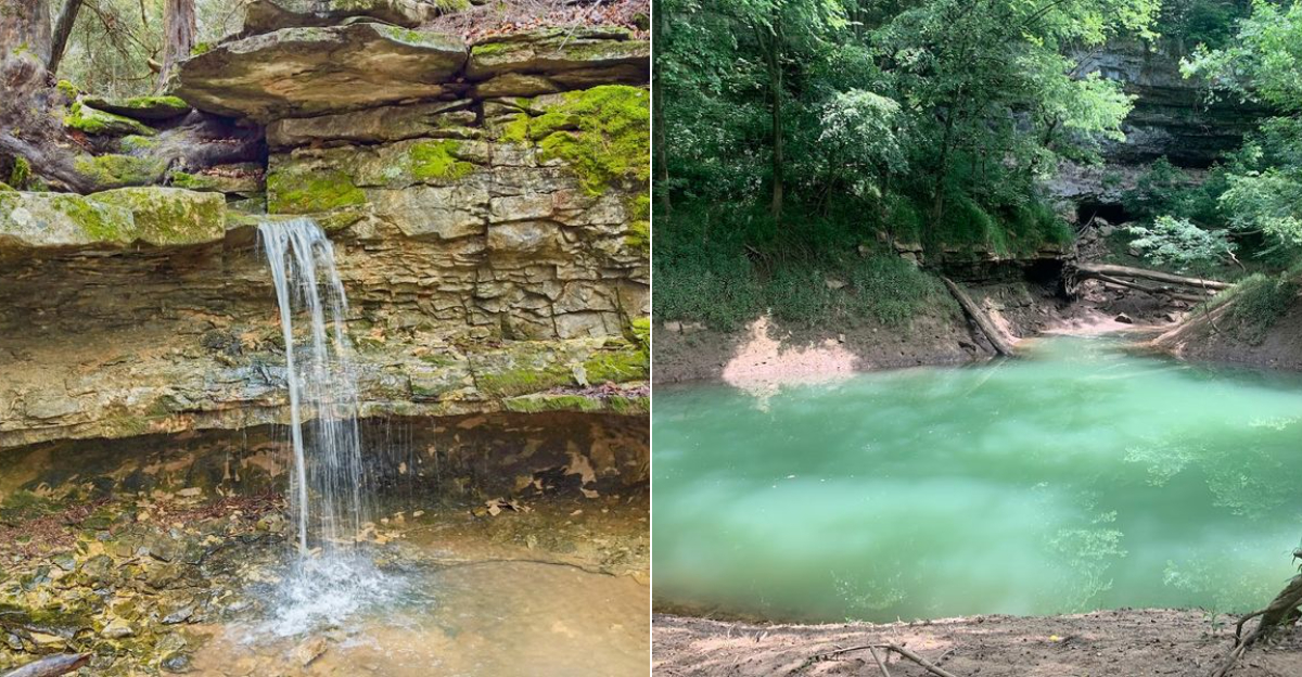 The Massive Indiana Sinkhole Where A Hidden Ecosystem And Cave Entrances Add To The Mystery