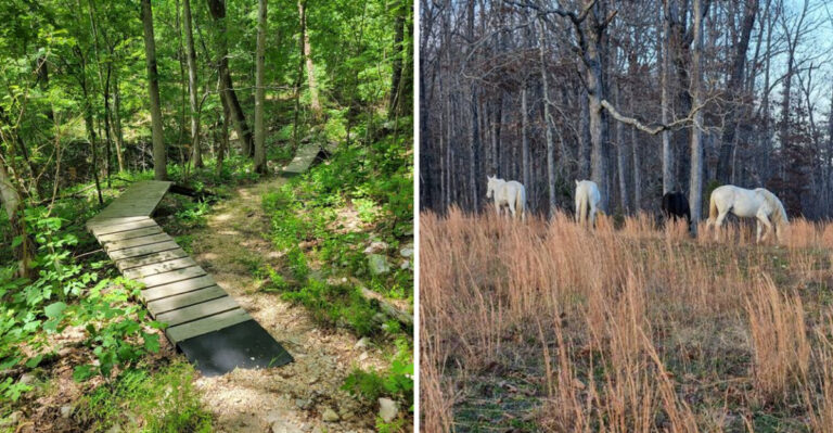 This 476-Acre Missouri State Park Is So Little Known, It Feels Surprisingly Peaceful