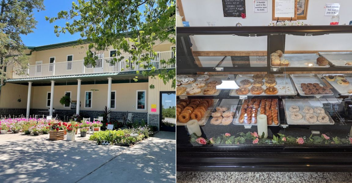 This Amish Bakery In Iowa Is Known Across The Midwest For Its Cinnamon Rolls