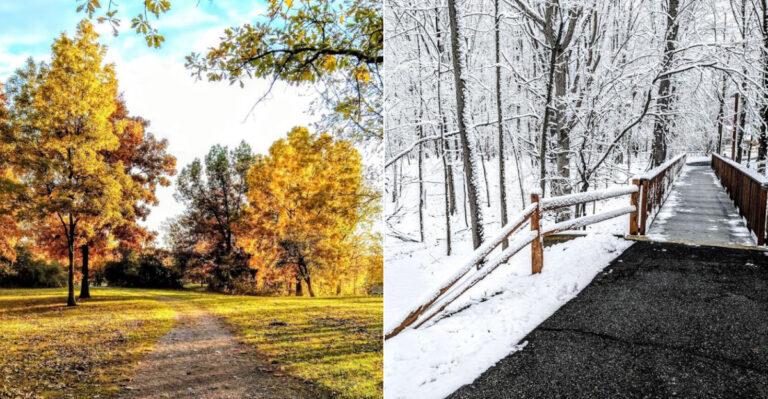 This Beautiful Seven-Mile Michigan Trail With Boardwalks And Wildlife Feels Like A Hidden Escape