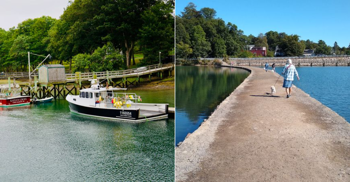 This Dreamy Coastal Trail In Maine Will Make You Feel Miles From Everything