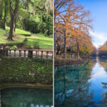 This Dreamy Georgia Spring Looks Like Nature Turned Up The Clarity