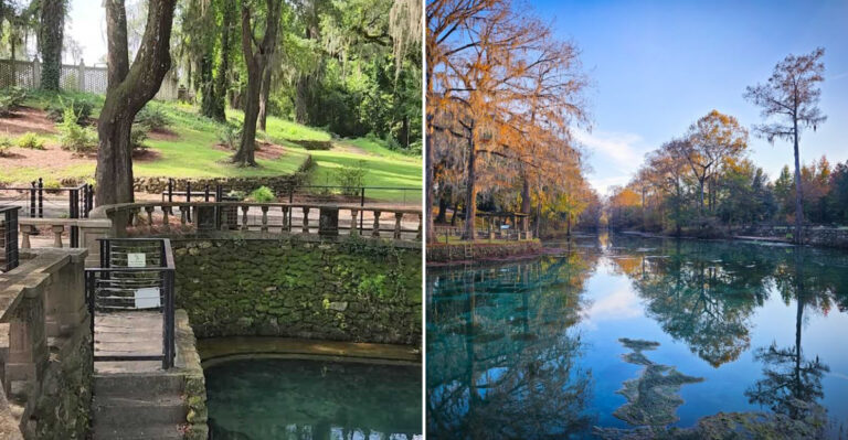 This Dreamy Georgia Spring Looks Like Nature Turned Up The Clarity