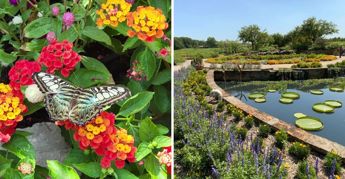 This Dreamy Missouri Park Feels Too Magical To Be Real