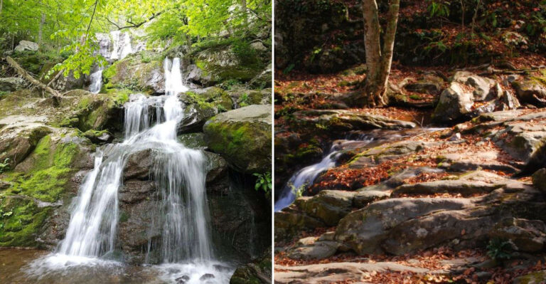 This Easy 1.4-Mile Trail In Virginia Takes You Straight To A Gorgeous Hidden Waterfall
