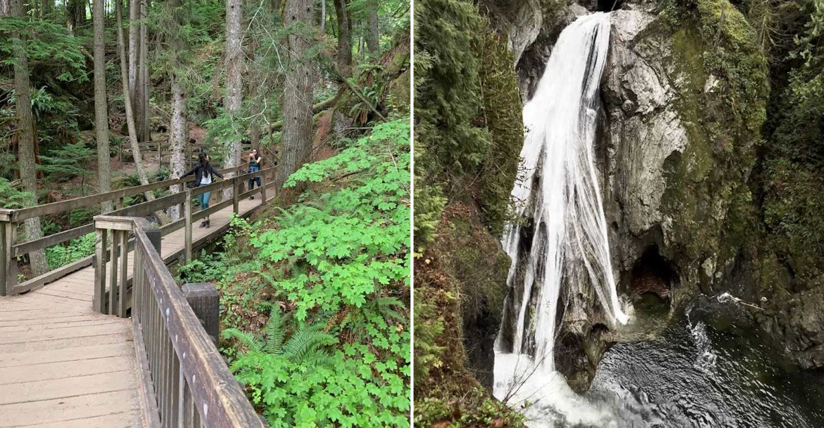 This Easy 2.6-Mile Hike In Washington Delivers Views You Won’t Stop Thinking About