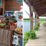 This Georgia Spot Has Fresh Produce And Peach Ice Cream That Locals Keep Coming Back For