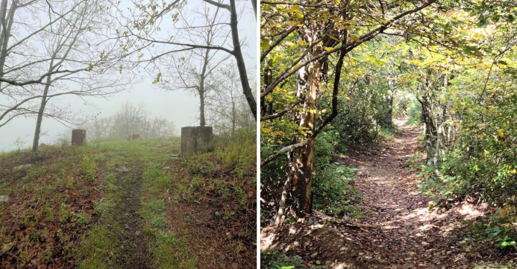 This Haunted Forest Trail In Virginia Will Give You The Scare Of Your Life