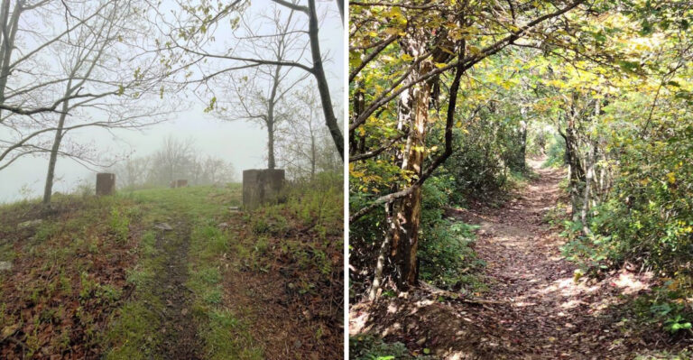 This Haunted Forest Trail In Virginia Will Give You The Scare Of Your Life
