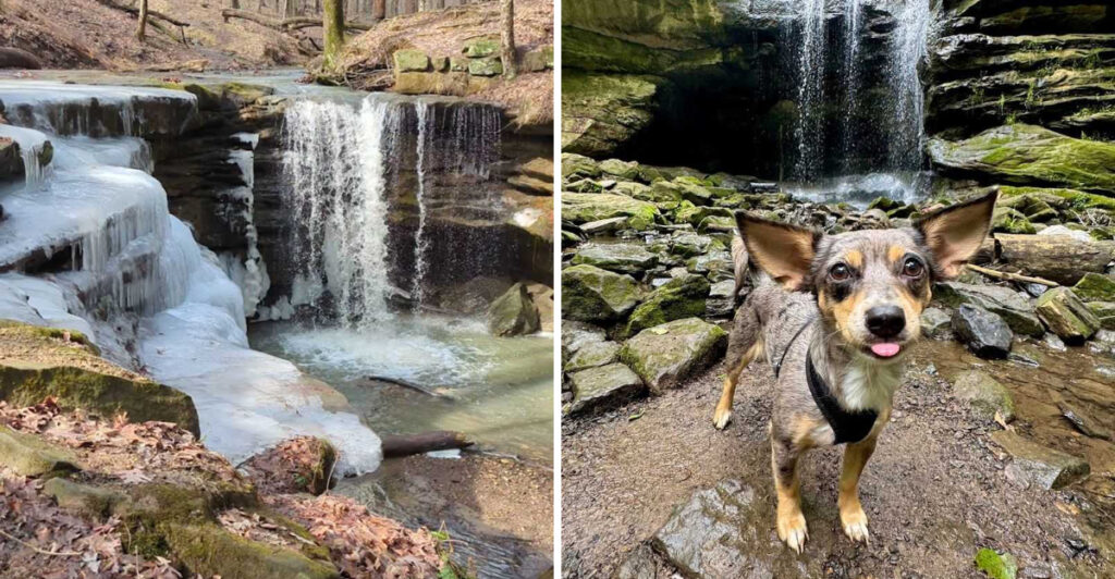 This Little-Known Ohio Trail Leads To A Waterfall That Feels Almost Too Good To Share