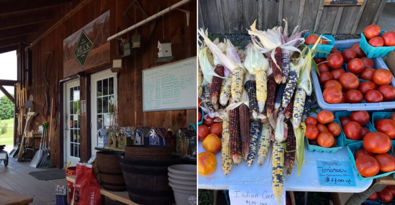 This Maine Amish Market Turns A Simple Shopping Stop Into Something Much Bigger