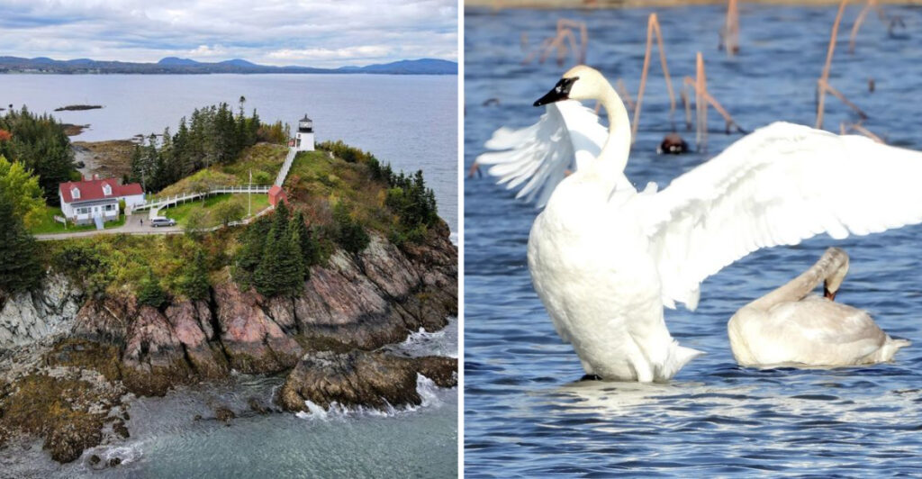 This Maine Road Trip Is A Breathtaking Way To Explore 14 Hidden State Parks