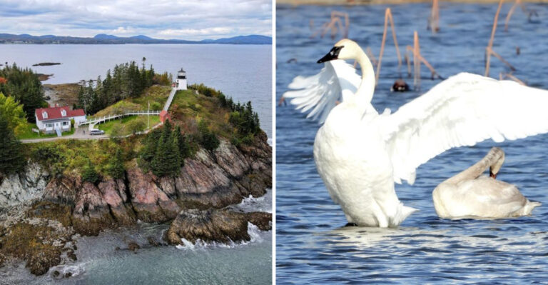 This Maine Road Trip Is A Breathtaking Way To Explore 14 Hidden State Parks