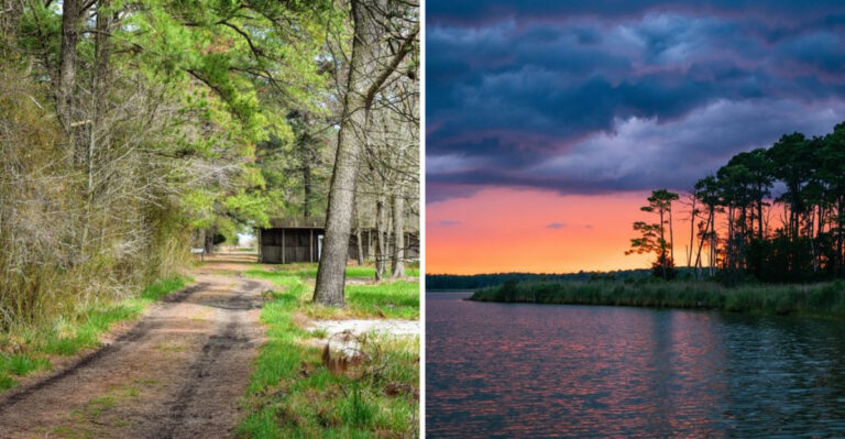 This Maryland State Park Is So Haunted, Locals Avoid It After Dark