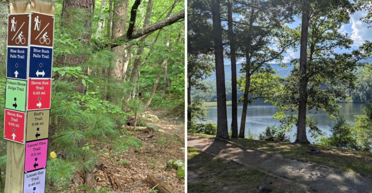 This Peaceful Virginia Lake Feels Like A Million Miles Away From The Hustle