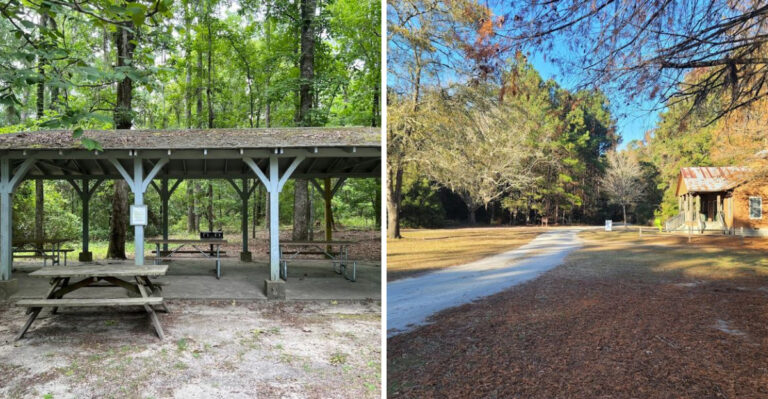 This Quiet South Carolina State Park Is So Underrated, It Still Feels Like A Secret