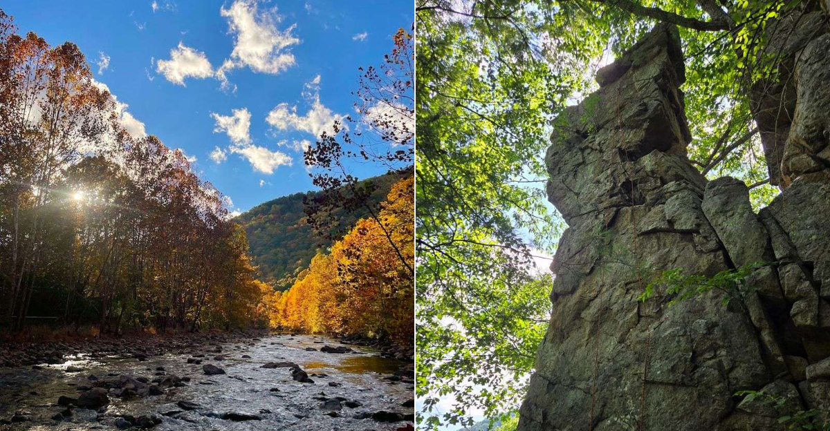 This Stunning Gorge In West Virginia Is Finally Getting The Attention It Deserves