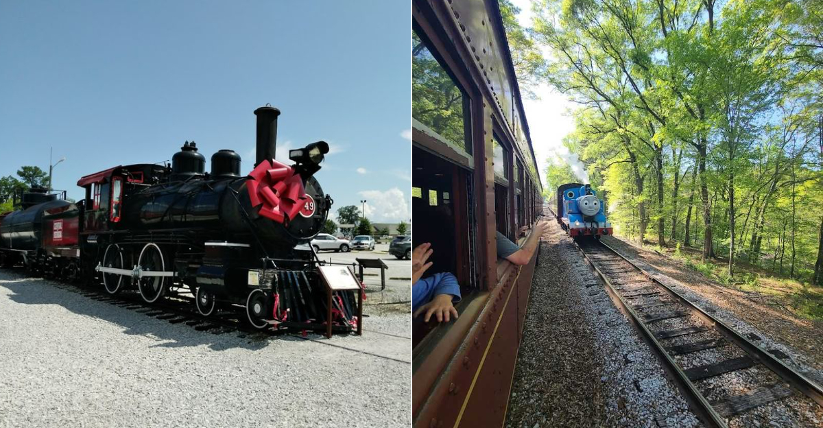 This Tennessee Day Trip By Train Delivers Big Views And Vacation Energy