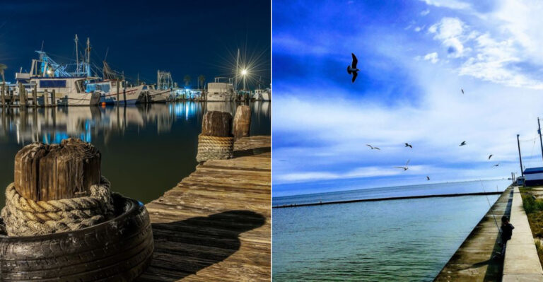 This Texas Destination Is Known For A Hummingbird Experience You’ll Never Forget