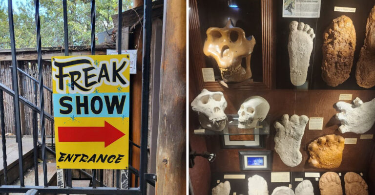This Texas Museum Houses A Large Collection Of Bigfoot Artifacts And It’s Wonderfully Odd