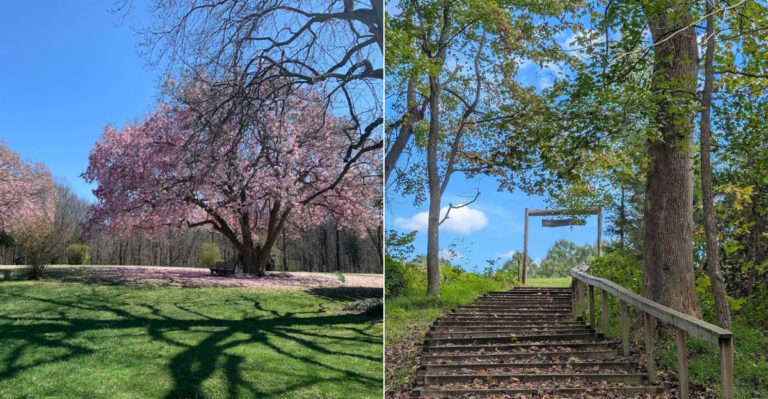 This Virginia State Park Is One Of The State’s Most Overlooked Treasures